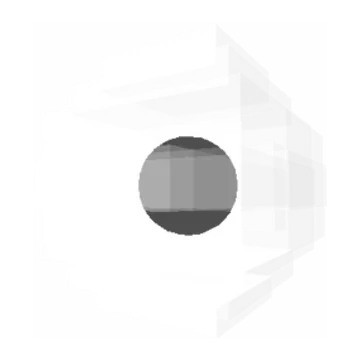 Frog Egg