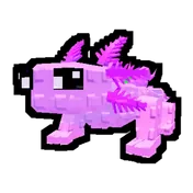 Axolotl