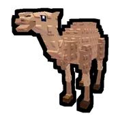 Camel