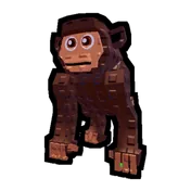 Chimpanzee