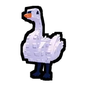 Swan