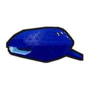 Whale Shark